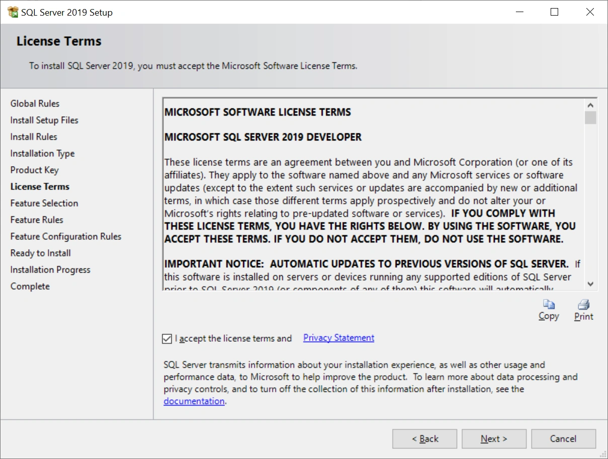 SQL Server 2019 Developer Edition Installation