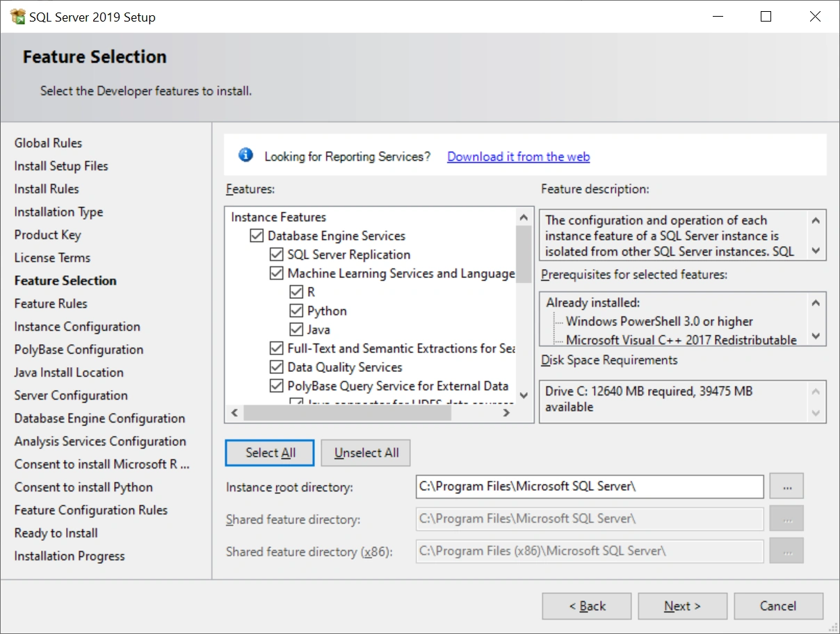 SQL Server 2019 Developer Edition Installation