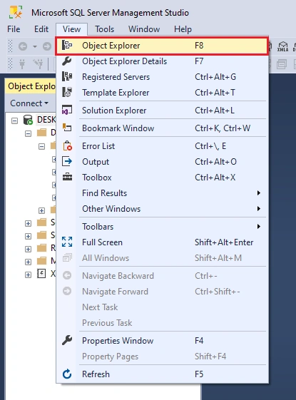 Object Explorer