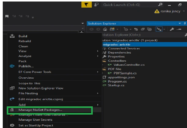 Swashbuckle And ASP.NET Core