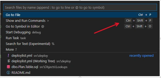 Show and Run Commands