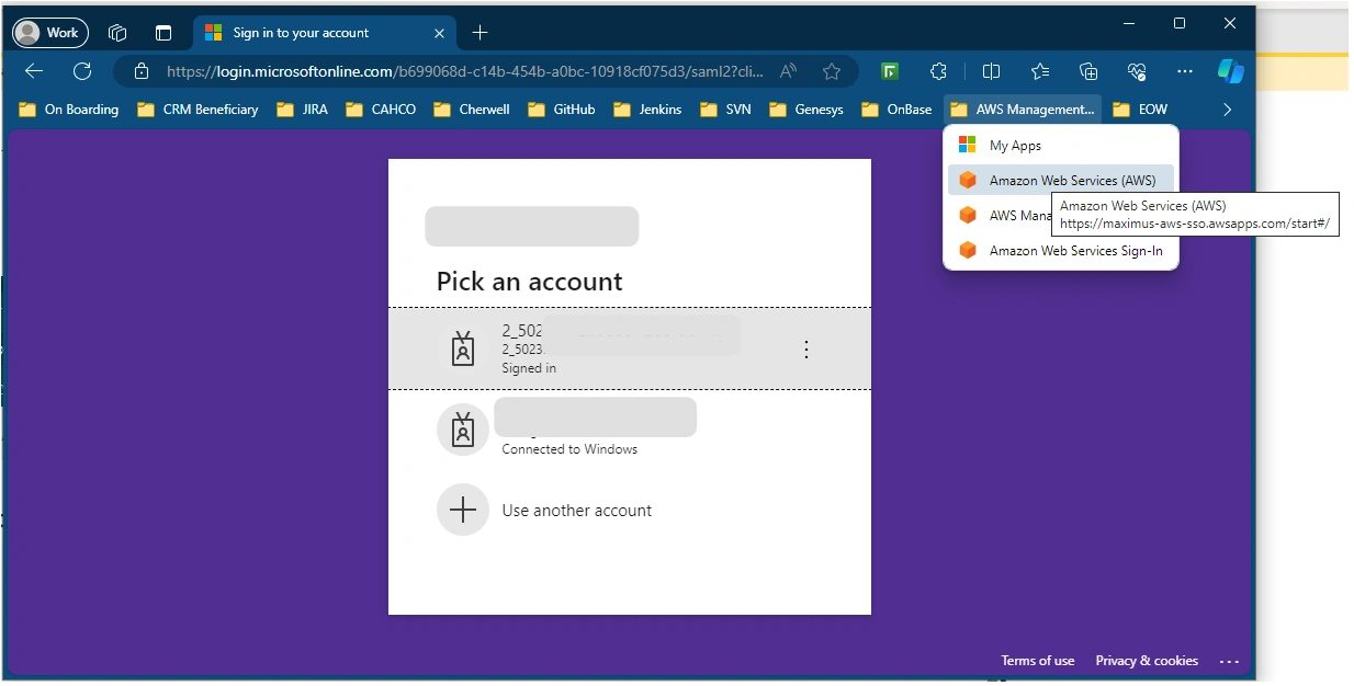 Aws Management