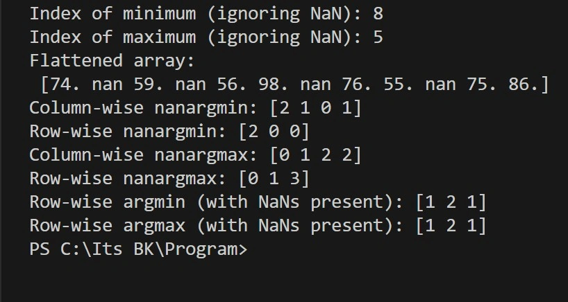 nanargmax and nanargmin output