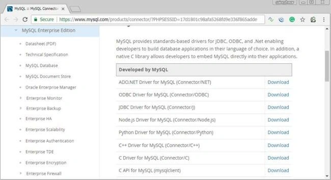 Elastic Search