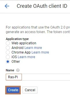 DIY Google AI Assistant using a Raspberry Pi