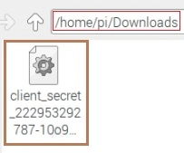 DIY Google AI Assistant using a Raspberry Pi