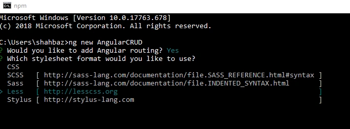 Angular 8 CRUD With Oauth2.0 In WebAPI