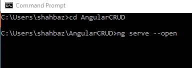 Angular 8 CRUD With Oauth2.0 In WebAPI