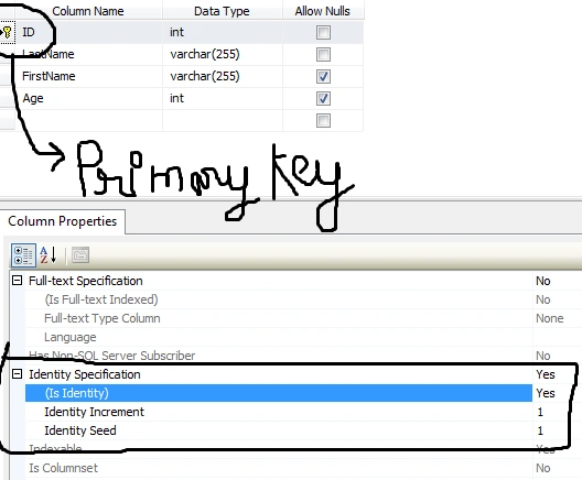 Detail Description About Primary Key In SQL Server
