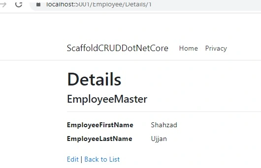 Simple Scaffolding CRUD Operations In ASP.NET Core Using EF Core DB First Approach