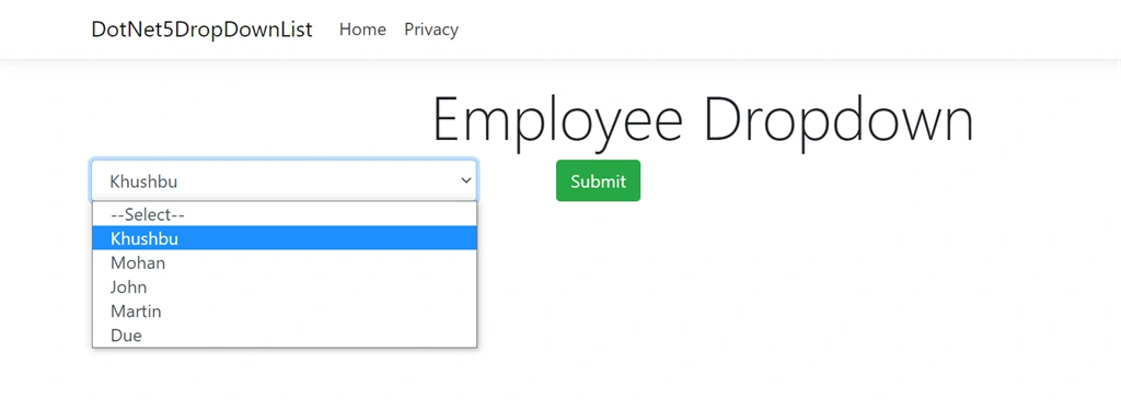 .Net Core 5 DropDownList