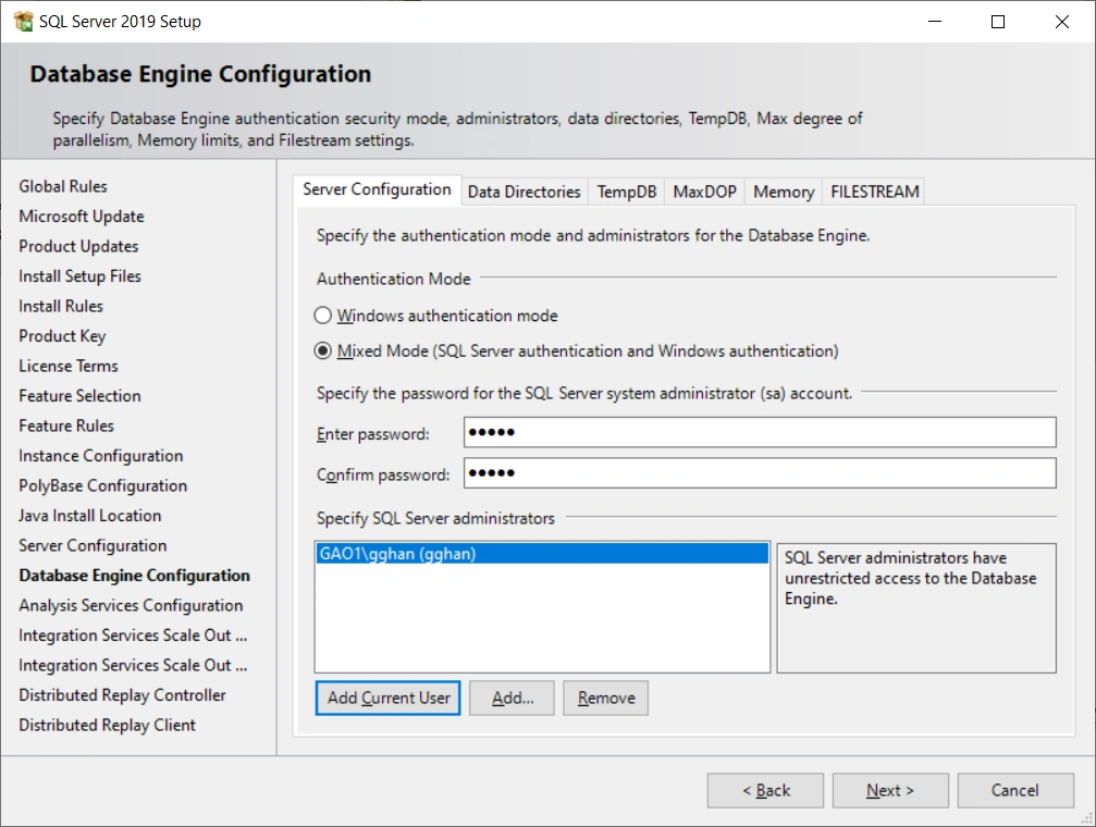 SQL Server 2019 Developer Edition Installation