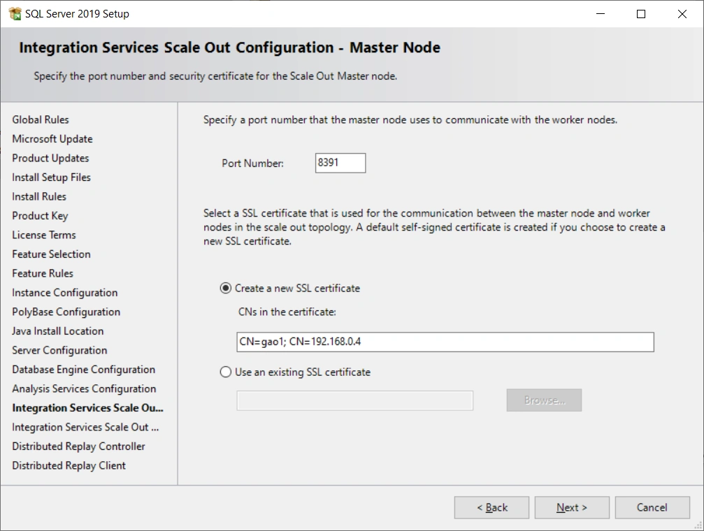 SQL Server 2019 Developer Edition Installation