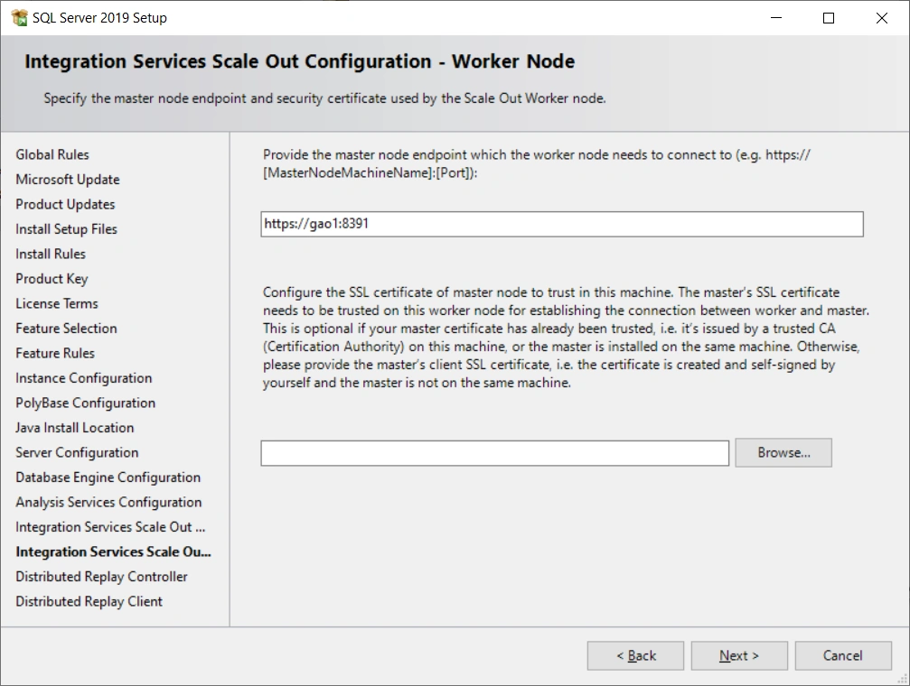 SQL Server 2019 Developer Edition Installation