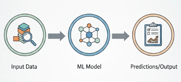 Rikam Palkar Machine Learning Process