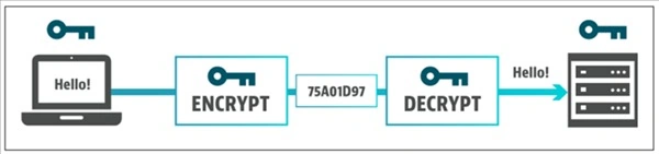 Presentation Layer