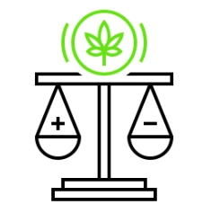 Adoption of CBDC
