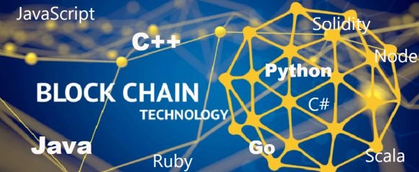 Most popular blockchain programming language