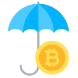 Cryptocurrency Insurance