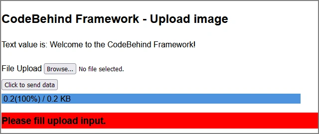 Code Behind