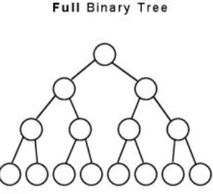 Binary Tree