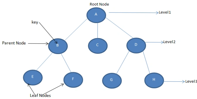 Tree Terminologies