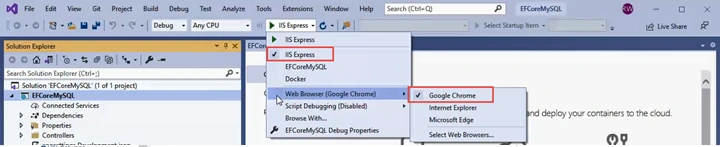 IIS Express