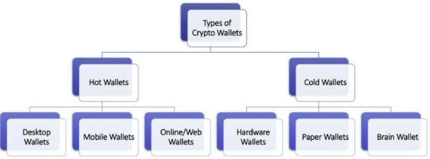 Crypto Wallets