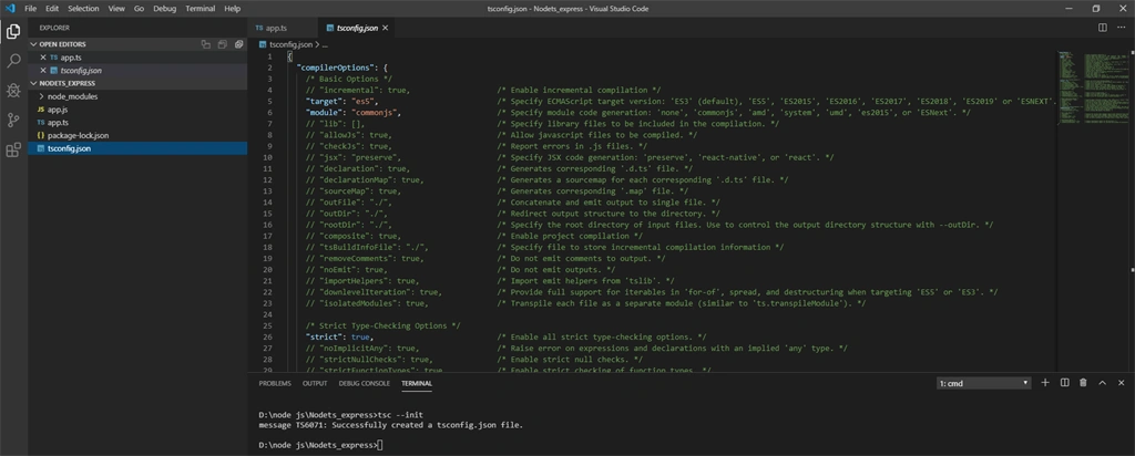 TypeScript Setup With Node And Express