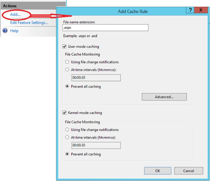 Output Caching