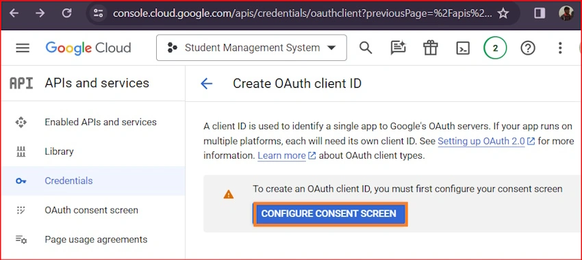 Consent Screen