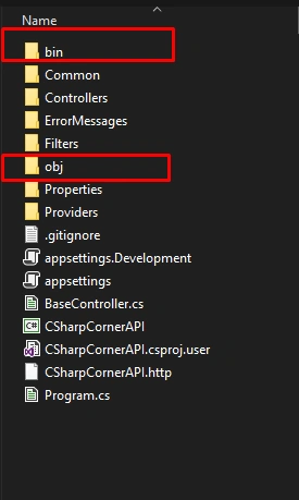 bin obj folders