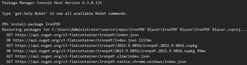 Package Manager Console Host Version -