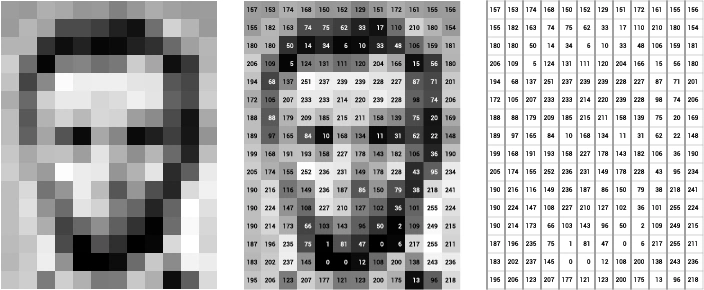 Converting data into vector
