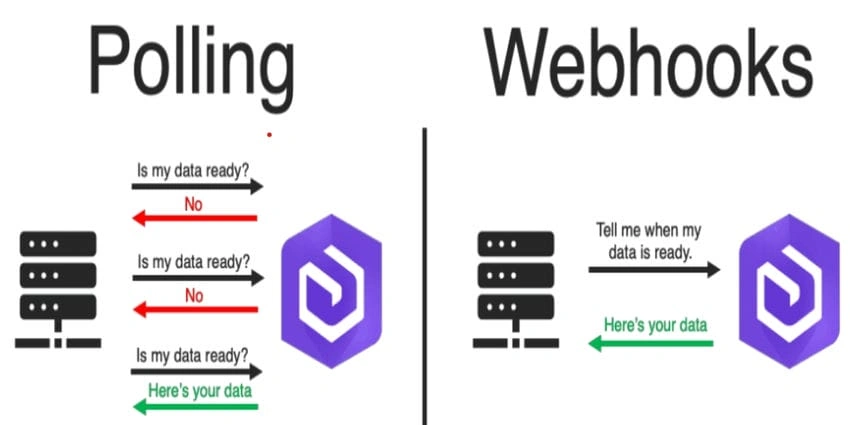 Webhook Image 
