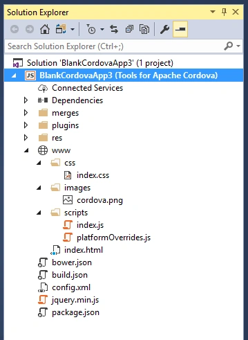 Visual studio
