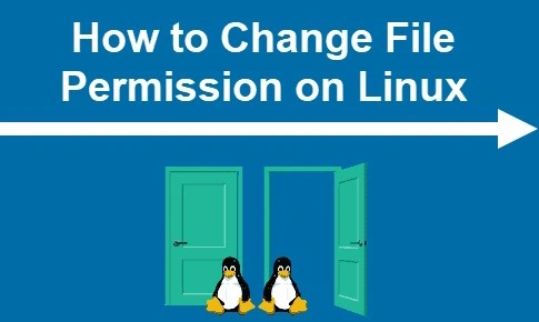 Change file permission