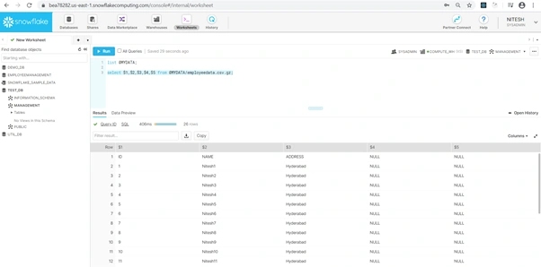 CSVData