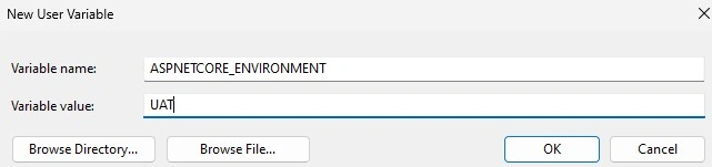 Environment Variable