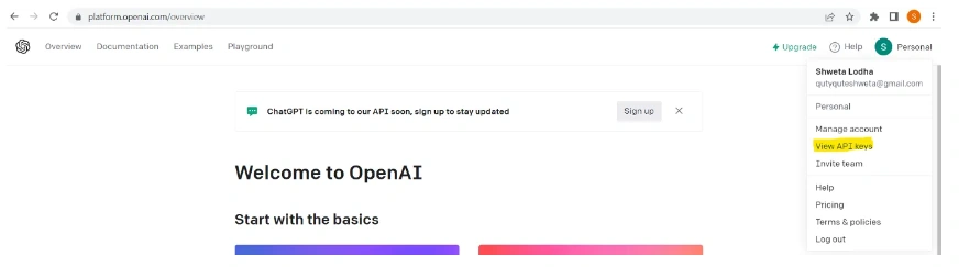 Use Your Own Files To Get Response From GPT like ChatGPT