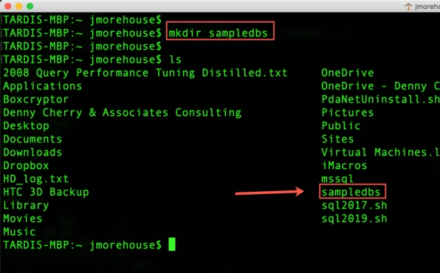 Using Docker Volumes For SQL Server In Linux