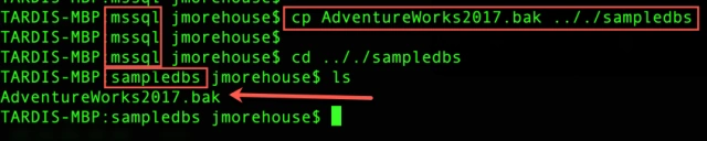 Using Docker Volumes For SQL Server In Linux