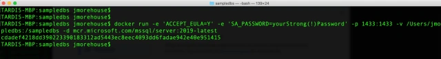 Using Docker Volumes For SQL Server In Linux