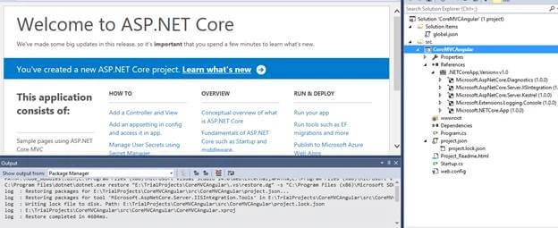 ASP.Net Core empty project