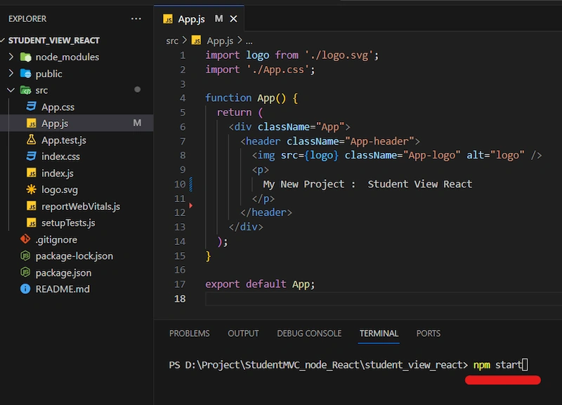 npm start