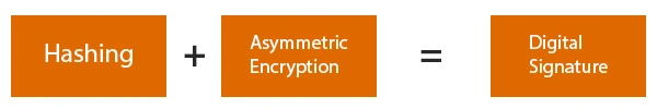 C#