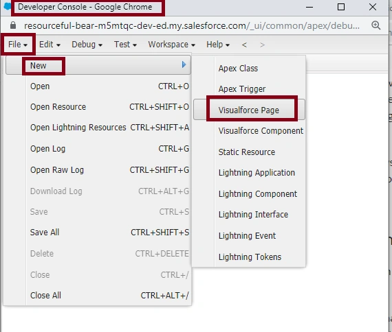 Visualforce pages In SalesForce