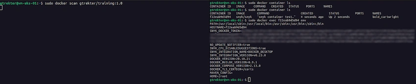 Vulnerability and Dependency Scanning with Docker Scout