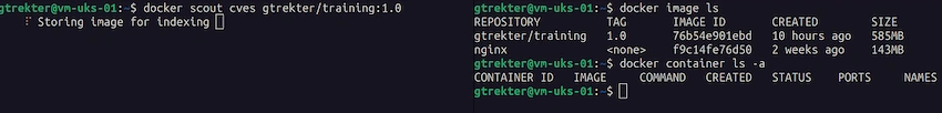 Vulnerability and Dependency Scanning with Docker Scout
