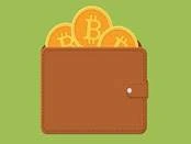 What are crypto wallets